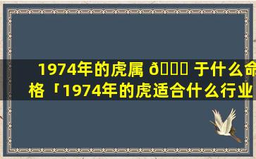 1974年的虎属 🐒 于什么命格「1974年的虎适合什么行业」